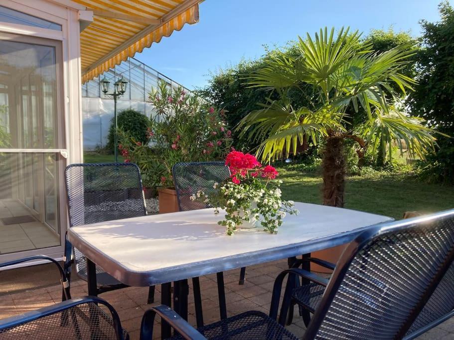 Helle Wohnung Mit Wintergarten - Nahe Ruhrgebiet Und Freizeitpark Movie Park Bottrop Esterno foto