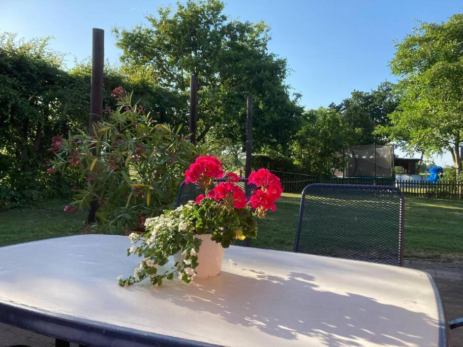 Helle Wohnung Mit Wintergarten - Nahe Ruhrgebiet Und Freizeitpark Movie Park Bottrop Esterno foto