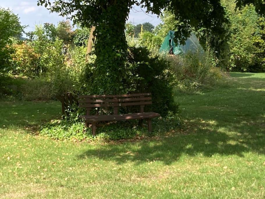 Helle Wohnung Mit Wintergarten - Nahe Ruhrgebiet Und Freizeitpark Movie Park Bottrop Esterno foto